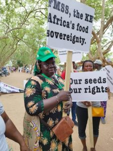 Plaidoyer et Veille Juridique