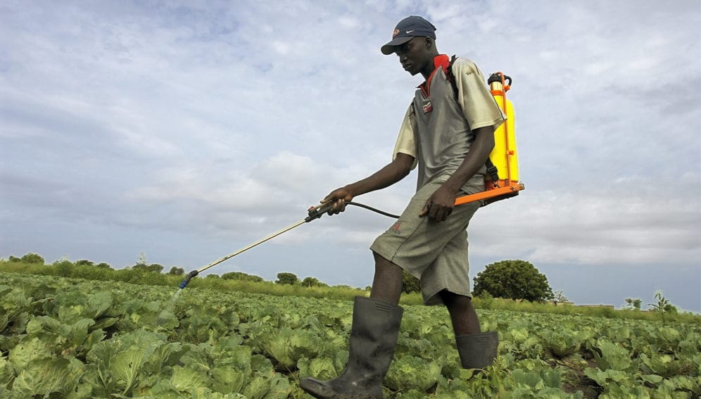 Afrique de l'Ouest : un projet régional de 450 millions FCFA pour réduire les pesticides hautement dangereux